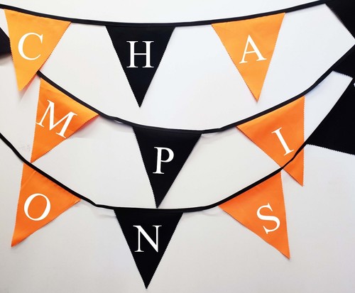 Champions printed bunting - printed,